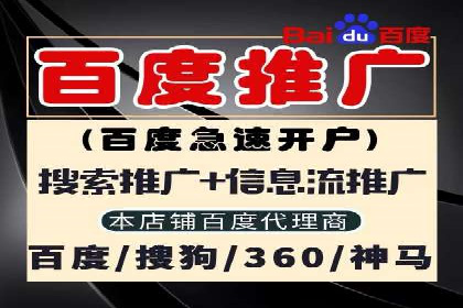 谷歌竞价广告的创意执行与效果评估——某品牌案例